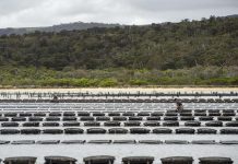 Pacific envoys gather to tackle visa exploitation risks