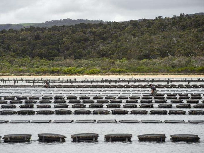 Pacific envoys gather to tackle visa exploitation risks