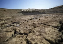 As Earth dries out, countries fail to reach drought agreement