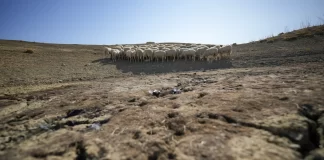 As Earth dries out, countries fail to reach drought agreement