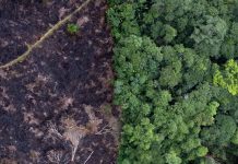 Landmark climate change hearings represent largest ever case before world court