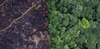 Landmark climate change hearings represent largest ever case before world court