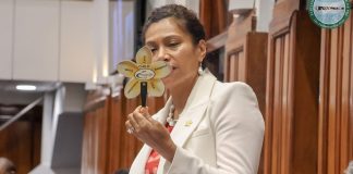 Child Justice Bill passed in Fiji Parliament