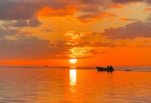 2024 the warmest year on record in the Western Pacific