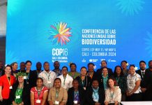 Pacific islands to push for enhanced resource mobilisation at resumed biodiversity conference
