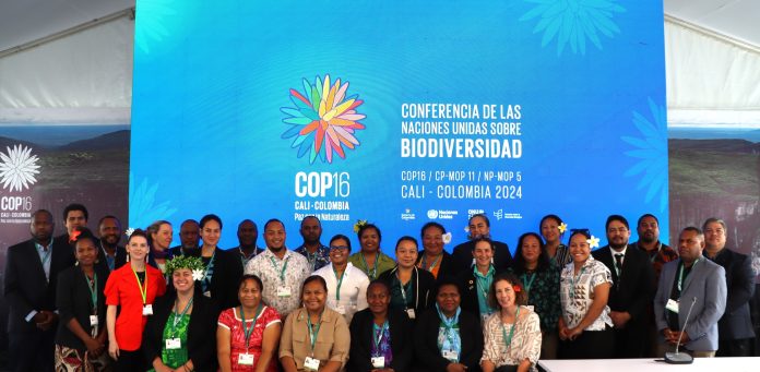 Pacific islands to push for enhanced resource mobilisation at resumed biodiversity conference