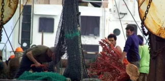NZ rebuked for behaviour at fisheries forum