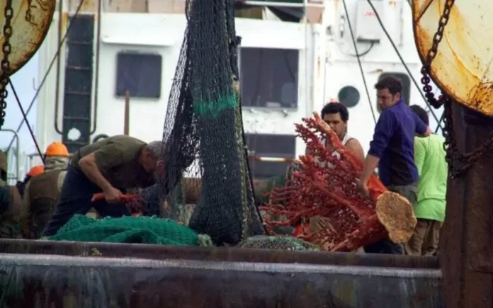 NZ rebuked for behaviour at fisheries forum