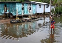 Leaders in the Pacific raise alarm over ‘direct impact’ of Trump’s climate retreat and aid freeze