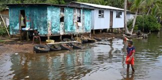 Leaders in the Pacific raise alarm over ‘direct impact’ of Trump’s climate retreat and aid freeze
