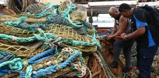 Fisheries observation: a tough but vital job