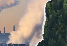 ‘A liveable future is at stake’: Critics call out NZ David Seymour’s climate stance