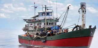 Call for a Fair Course on Global Shipping Energy Transition