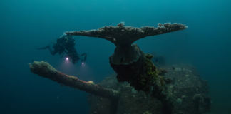 Thriving reef at Bikini Atoll is a triumph of resilience and a warning