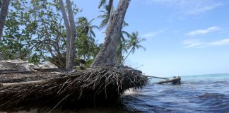 Climate change: Paris Agreement goals still within reach, says UN chief