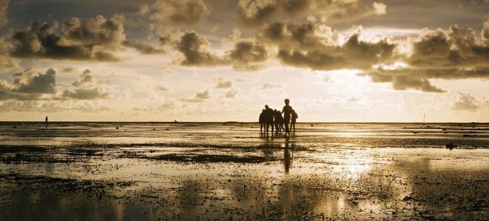 Climate change: La Niña fades, as global heat keeps rising