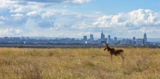 Global biodiversity agreement mobilises $200 billion boost for nature