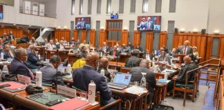 Fiji Constitution Amendment Bill fails to meet threshold, Supreme Court opinion an option