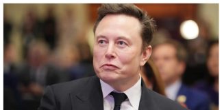 Musk’s DOGE terminates US$1.9 million consultancy contract for Palau