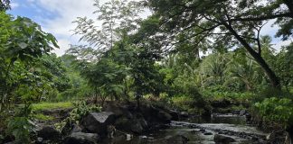 Fiji pushes for Pacific COP31