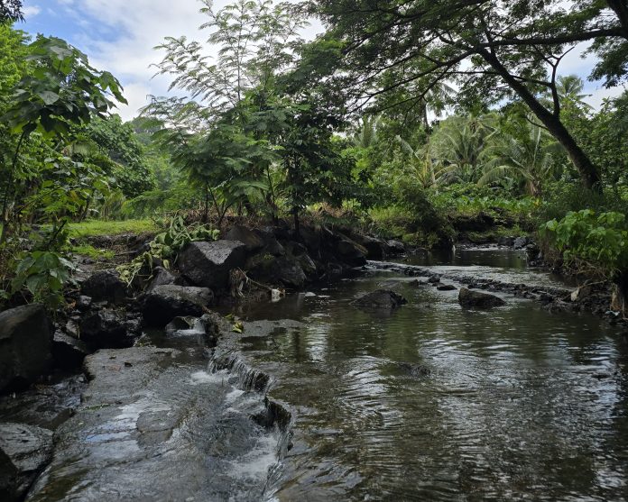 Fiji pushes for Pacific COP31