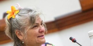 Cook Islands seabed minerals consultations under fire for excluding environment groups again