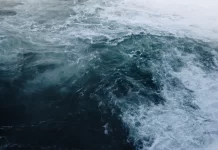 UN Ocean Summit to spotlight Pacific priorities, marine protection