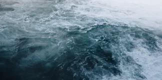 UN Ocean Summit to spotlight Pacific priorities, marine protection