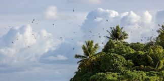 Scientists launch Ocean expedition in Tuvalu to study and safeguard marine life