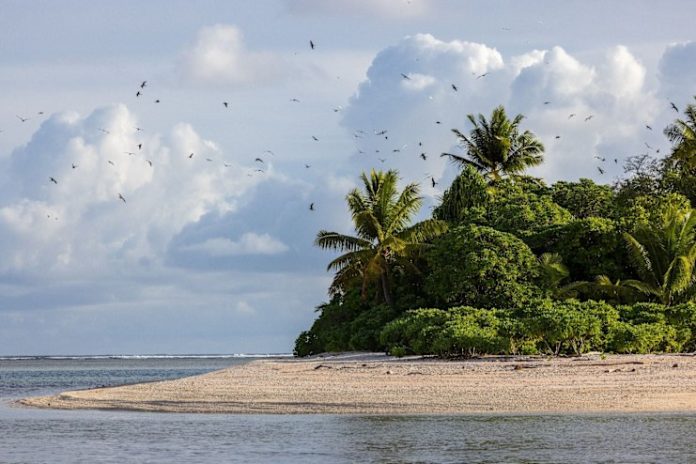 Scientists launch Ocean expedition in Tuvalu to study and safeguard marine life