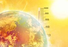 Scientists predict global warming of more than 1.5C for 2025-2029 period: WMO