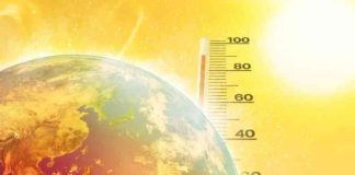 Scientists predict global warming of more than 1.5C for 2025-2029 period: WMO
