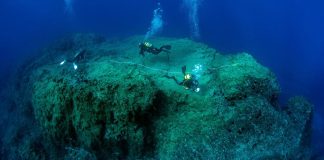 UN aims to transform urgency into action at Nice Ocean Conference
