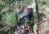 Indonesia kills civilians in West Papua airstrike, ULMWP leader demands action