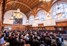 Rapid Legal Analysis of the ICJ Advisory Opinion on Climate Change Obligations