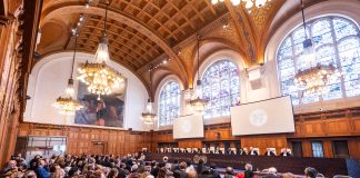 UN experts welcome recognition from International Court of Justice that all States must protect the climate system