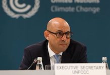 UN climate chief urges Australia to ‘go big’ on 2035 emissions target