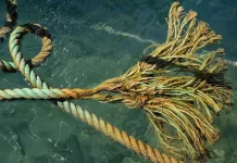 New Zealand isn’t just failing to act on ocean protection, it’s actively undoing progress