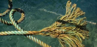 New Zealand isn’t just failing to act on ocean protection, it’s actively undoing progress