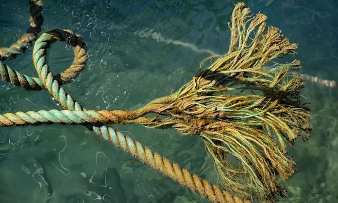 New Zealand isn’t just failing to act on ocean protection, it’s actively undoing progress