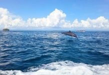 Guardians of the Sea: Youth lead East New Britain’s fight for marine survival