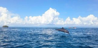 Guardians of the Sea: Youth lead East New Britain’s fight for marine survival