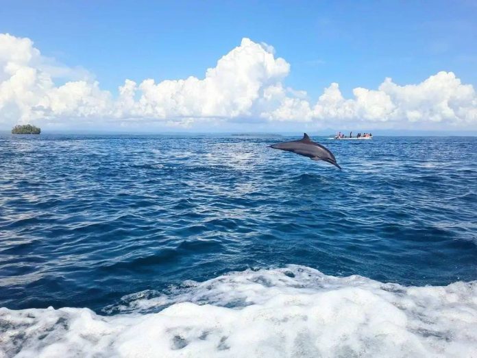 Guardians of the Sea: Youth lead East New Britain’s fight for marine survival
