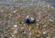 Plastics a ‘grave’ danger to health, scientists warn before UN talks