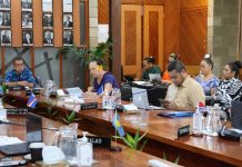 Cook Islands advocate for mainstreaming of SIS priorities within Pacific regional architecture