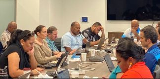 Pacific SIDS push for funding access in High-Seas Biodiversity Treaty talks