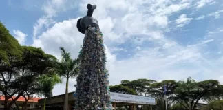 Our resolve strengthened despite Plastic treaty setback: AOSIS