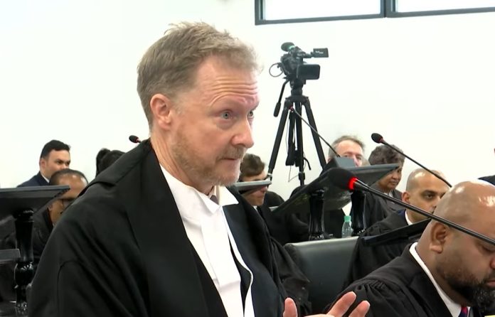 Amicus Curiae highlights “conundrum” in 2013 Constitution case