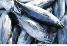 FFA receives US$60 million from the U.S under Economic Assistance Agreement