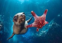 World history made with global agreement to protect our ocean